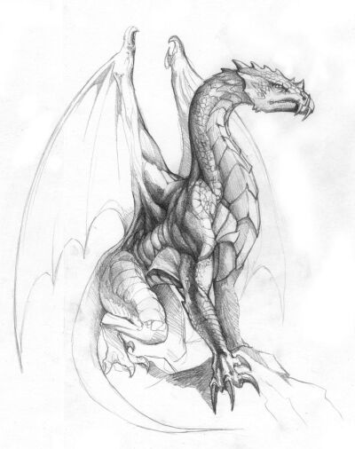 dragon sketch by ~hunqwert on deviantart