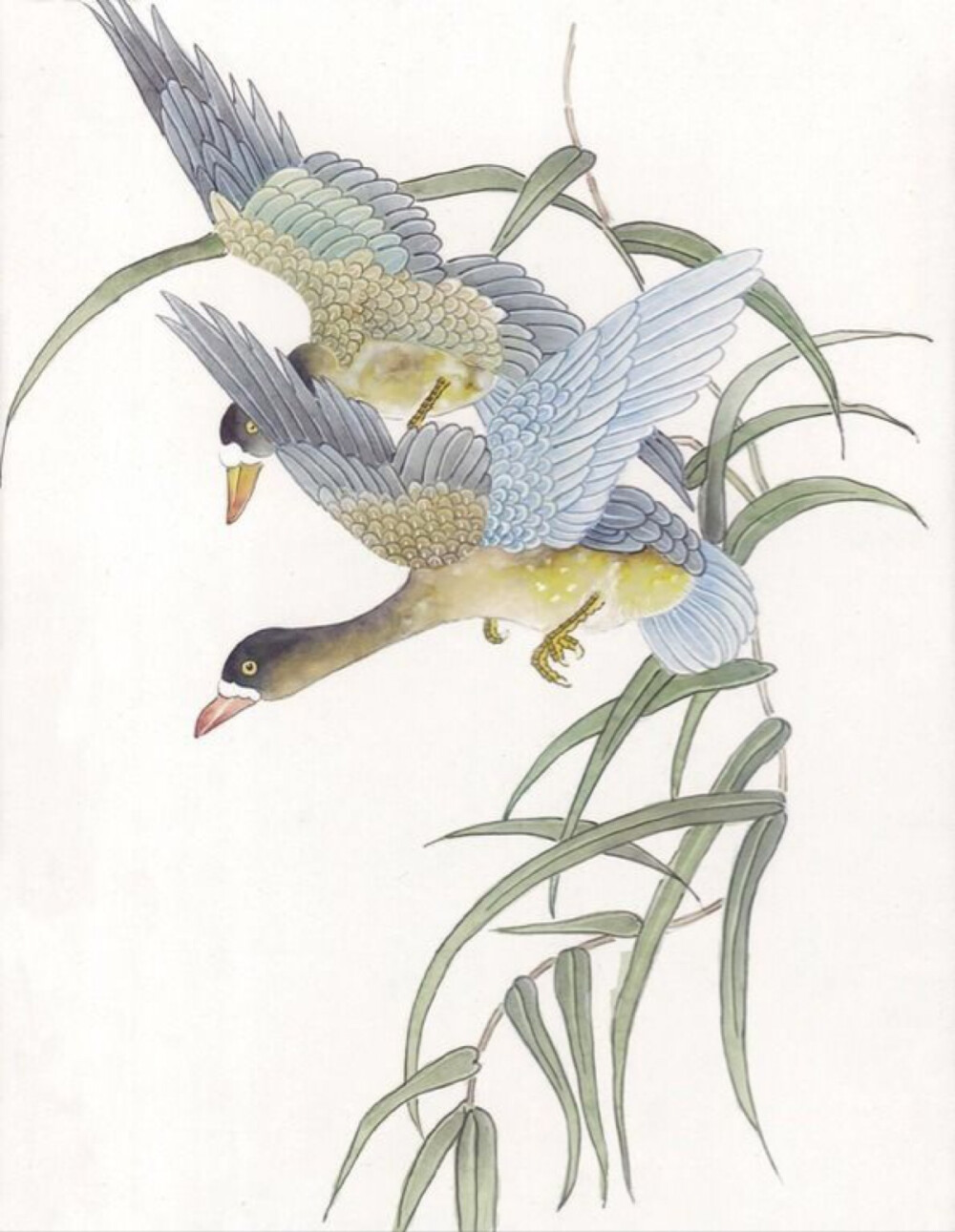 中国古典工笔花鸟-两只飞起的大雁