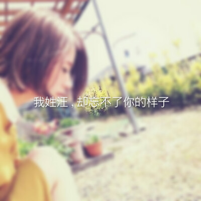 姓氏壁纸 汪