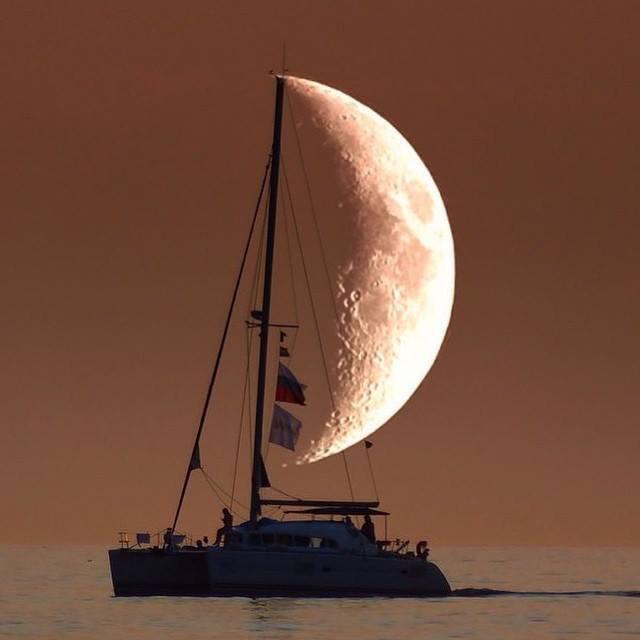 天文酷图# 帆船依靠月球动力行走!图源guy harvey