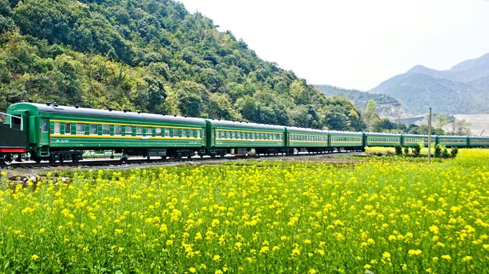 油菜花和绿皮小火车.