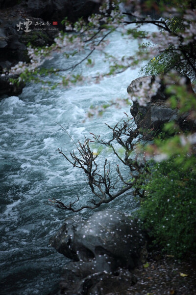 烟雨江南