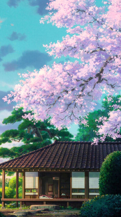 樱花树下