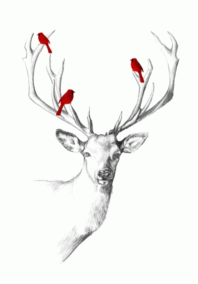 鹿手稿鹿纹身麋鹿纹身麋鹿素材鹿头纹身手稿