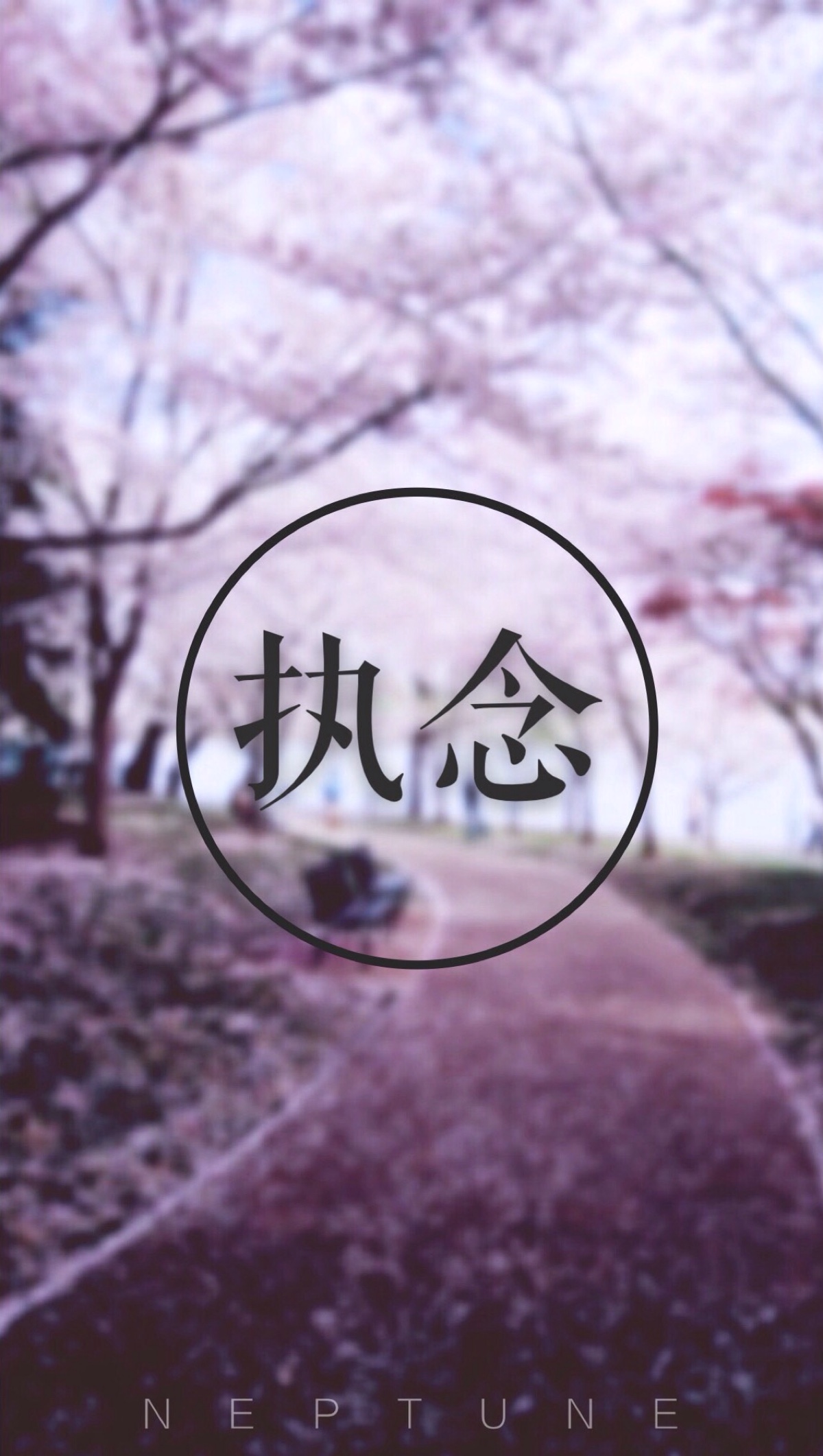 执念 蓝桉【原创 自制 壁纸 背景(禁一切)