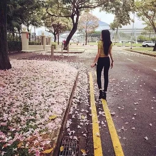 搞怪 可爱 闺蜜 背影 花瓣 唯美by:宇宙超级无敌绝版霹雳美少女张小婷