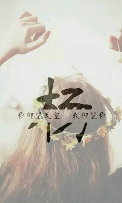 杨姓壁纸