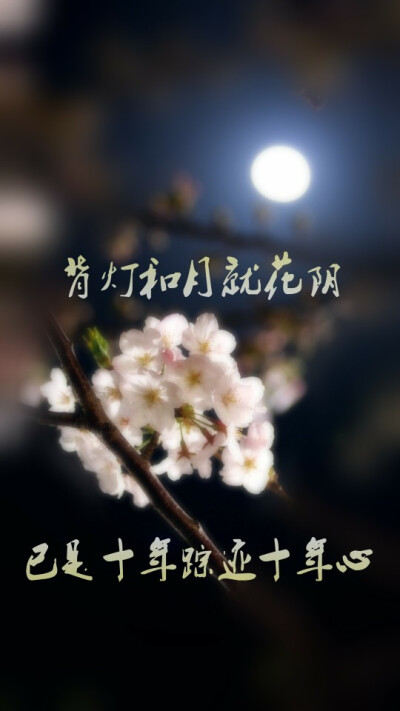 文字 锁屏 壁纸 歌词 最肯忘却古人诗 最不屑一顾是相思 西游记后传