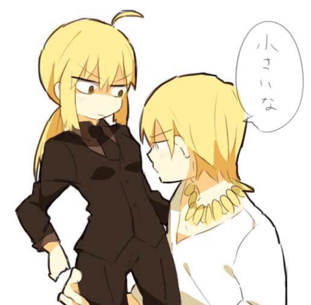 双王 同人cp 吾王 saber 阿尔托利亚 潘德拉贡 亚瑟王 骑士王 呆毛
