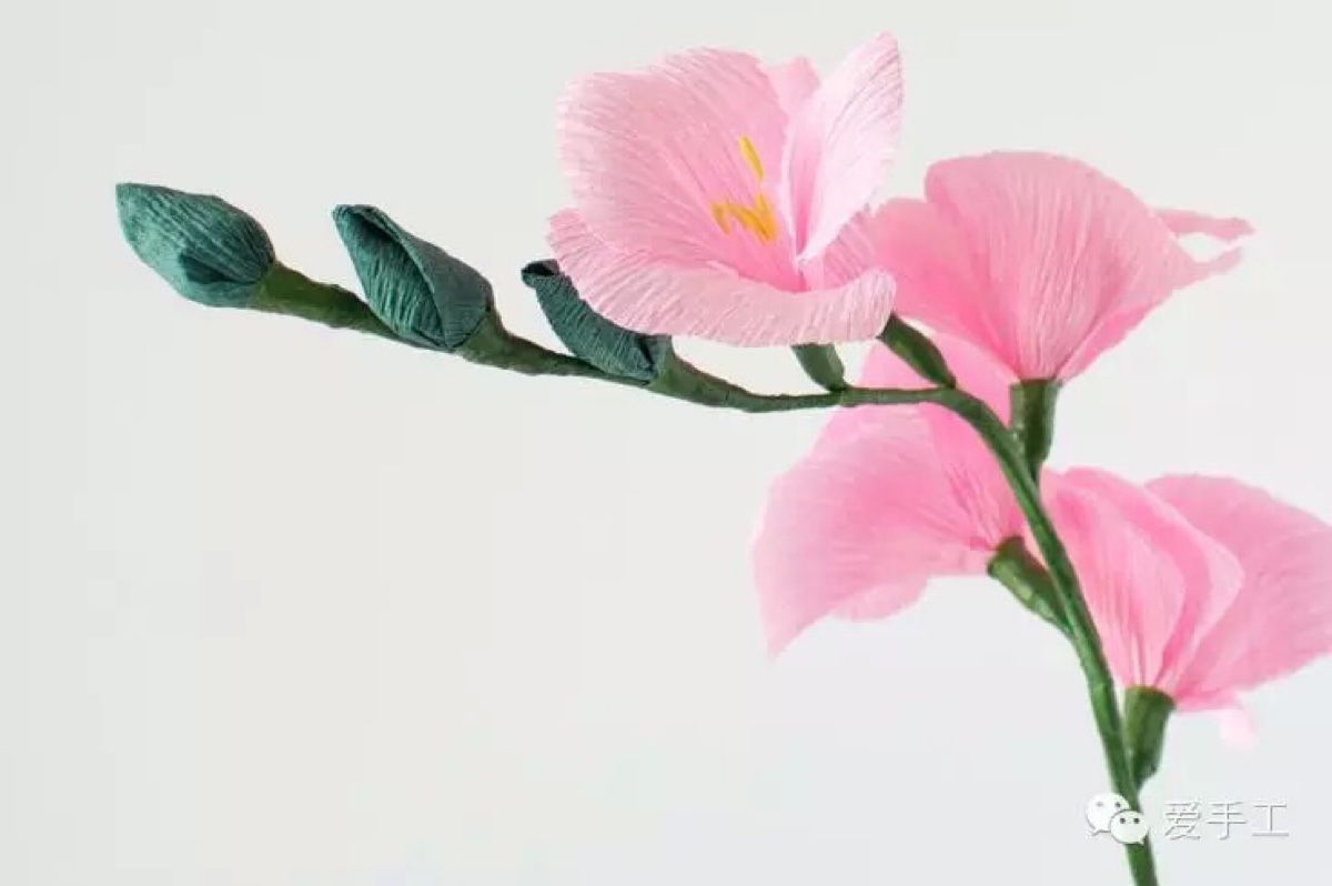 创意手工DIY花卉折纸教程 用皱纹纸折叠漂亮的小花朵（折纸枪视频教程大全） - 有点网 - 好手艺