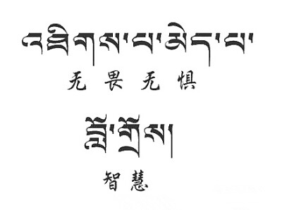 藏文无所畏惧