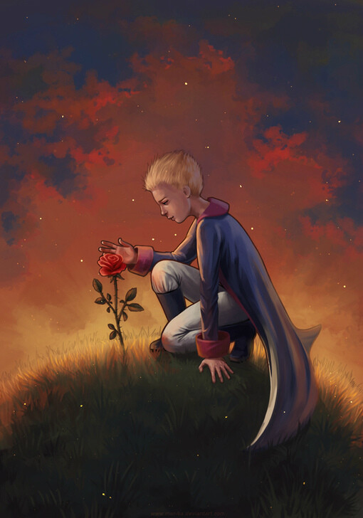 小王子和他的玫瑰花