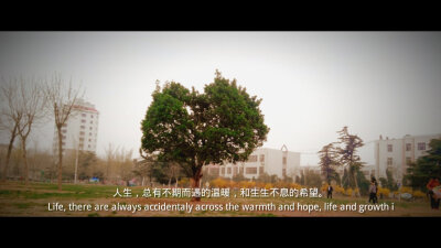人生,总有不期而遇的温暖,和生生不息的希望.