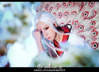 saki_海j#cos正片 功夫熊猫-沈王爷拟人 cn:原po(海j|phx:小朱