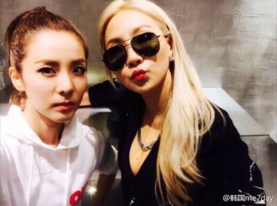 2ne1 李彩琳 cl 朴山多拉 sandara park