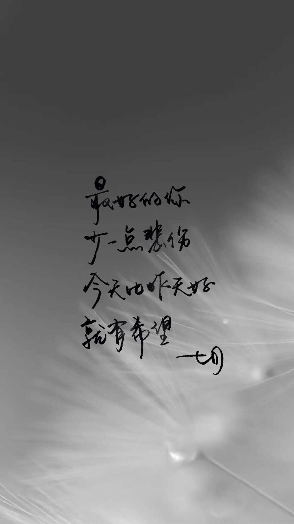 明信片 高清 暖心语录 练字 书法 唯美 意境 文艺 文字 句子 文字控