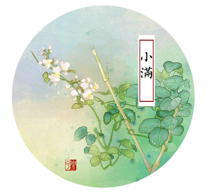 小满乐兮24节气花水彩古风汉文化中国风涂鸦王国
