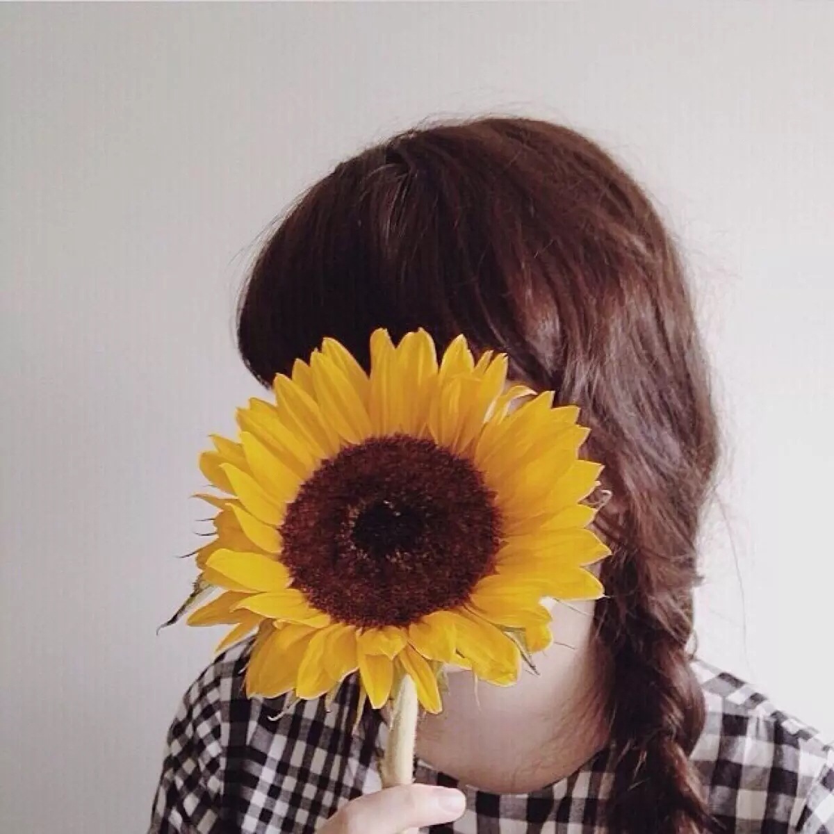 Sunflower Girl Wallpapers - Top Free Sunflower Girl Backgrounds ...