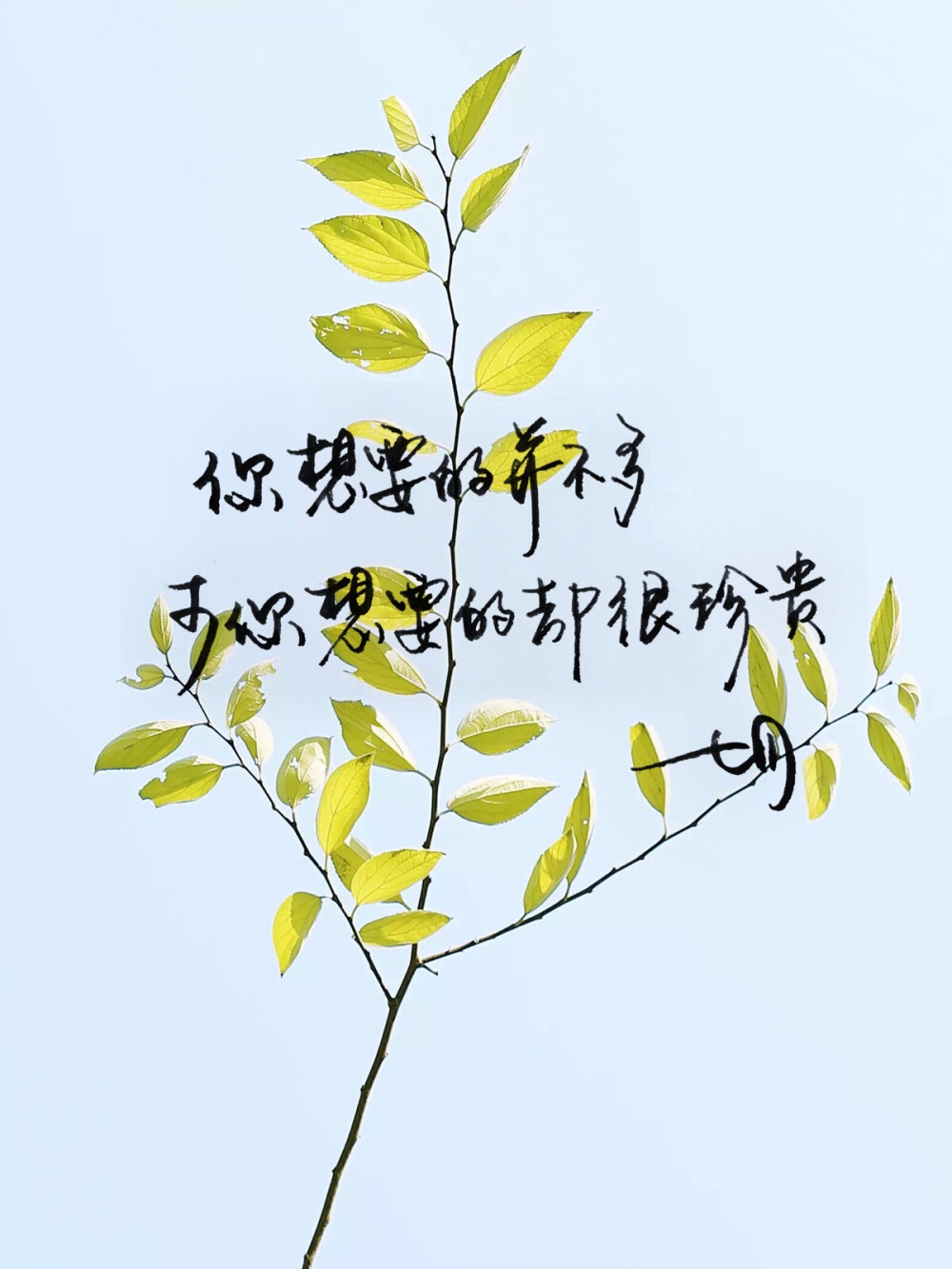 有意境的句子 堆糖网