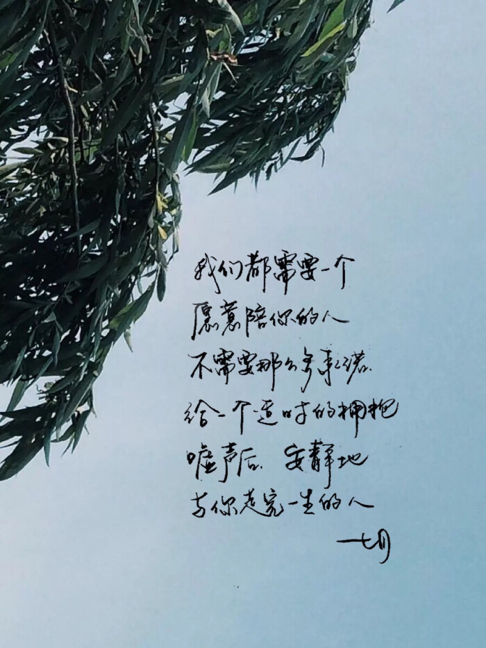 高清 暖心语录 练字 书法 唯美 意境 文艺 文字 句子 文字控 七月手写