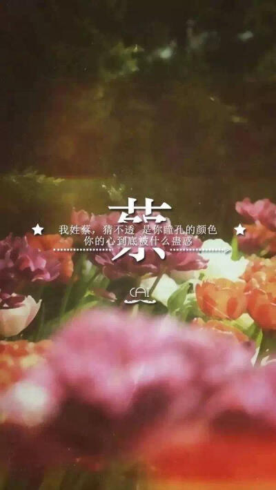 姓蔡壁纸