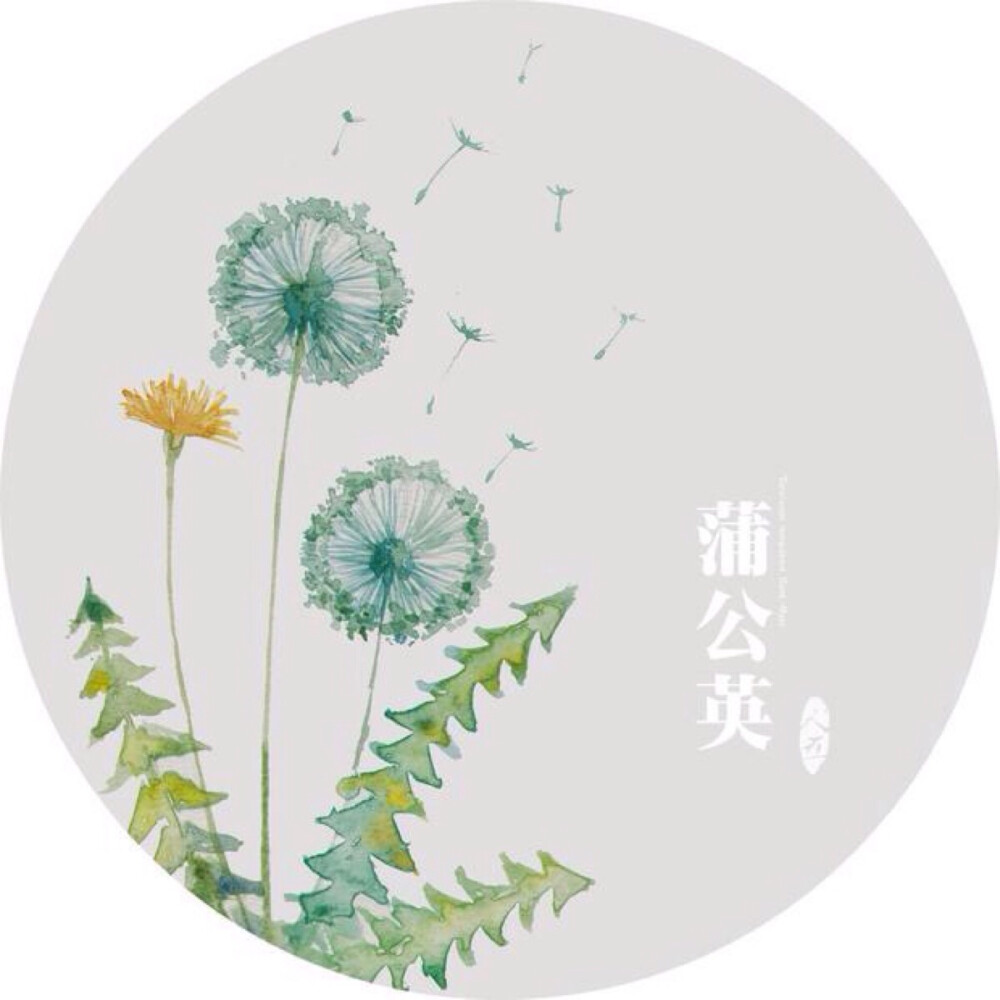 中国风插画 古风 古韵 花卉 水彩 花间词 转自网络侵删致歉 【国风