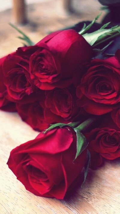 唯美浪漫玫瑰花壁纸