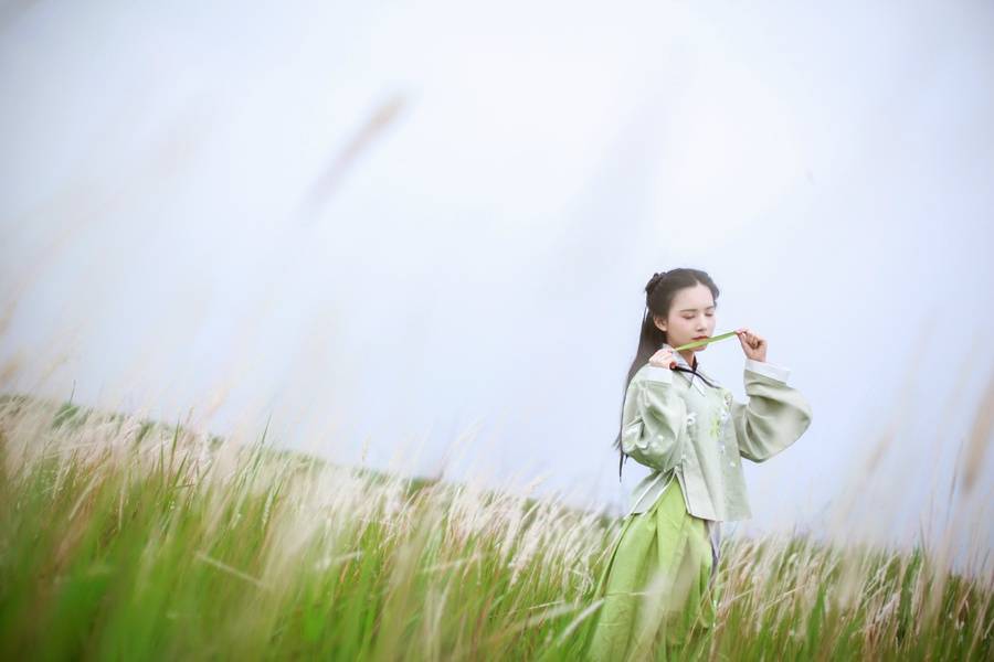 野有蔓草,零露漙兮.有美一人,清扬婉兮.