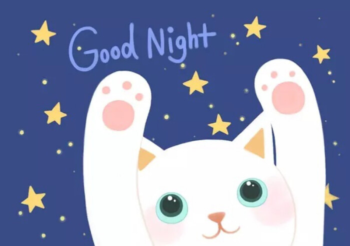 超萌的猫咪晚安系列 good night