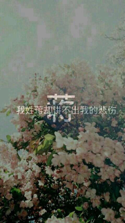 姓氏壁纸