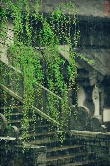 雨中情