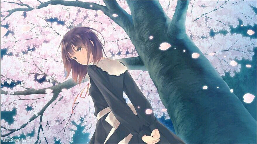 樱花树