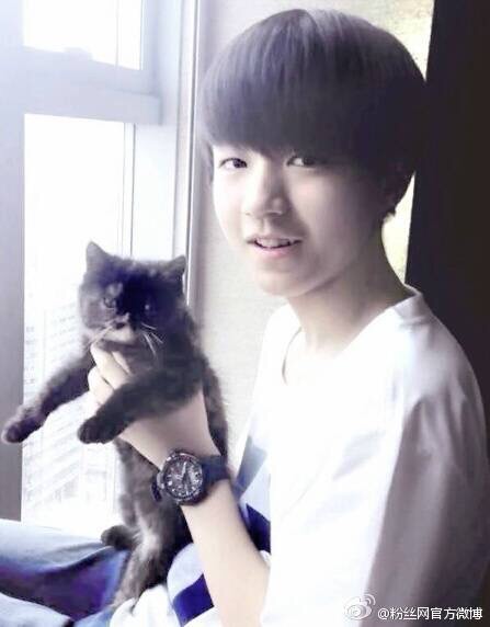 tfboys王俊凯#和小猫咪 乖乖的笑