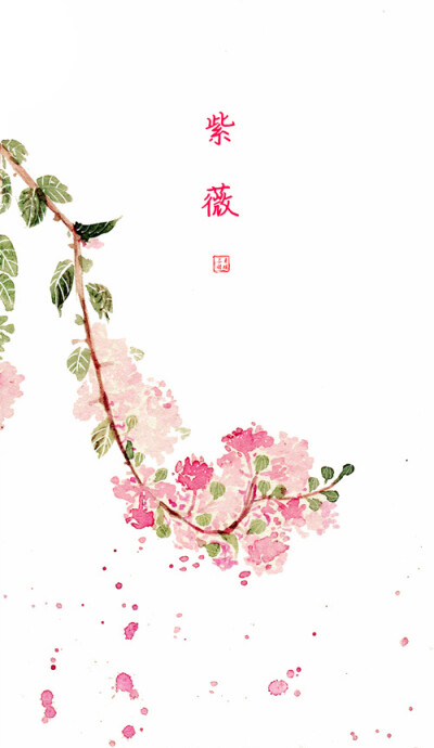 花草,水墨,封面,淡雅,唯美,插画,古风