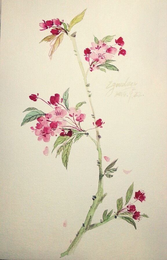 花草,水墨,封面,淡雅,唯美,插画,古风