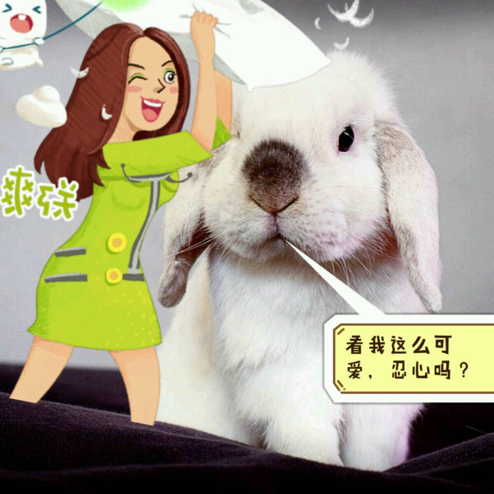 看我这么可爱,忍心吗