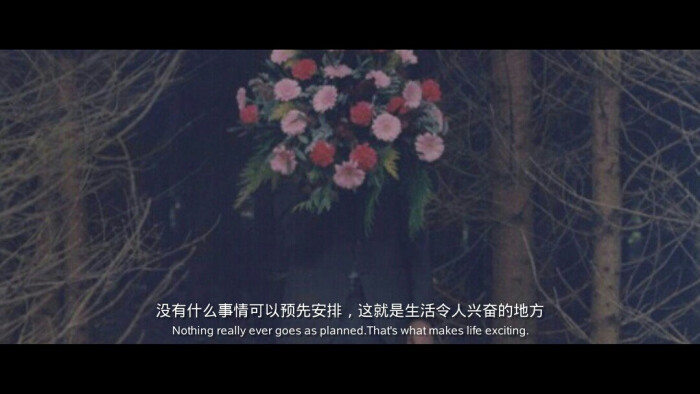 不要轻易说爱,许下的承诺就是欠下的债!
