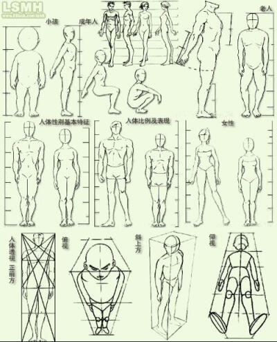 人体结构画法