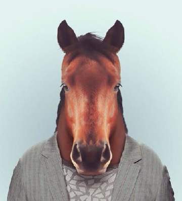 动物头像 马