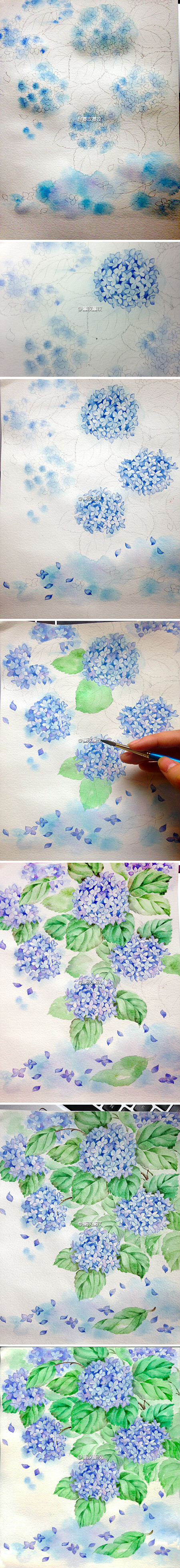传说中的水彩教程 夏至 梅雨中的紫阳花 堆糖 美图壁纸兴趣社区