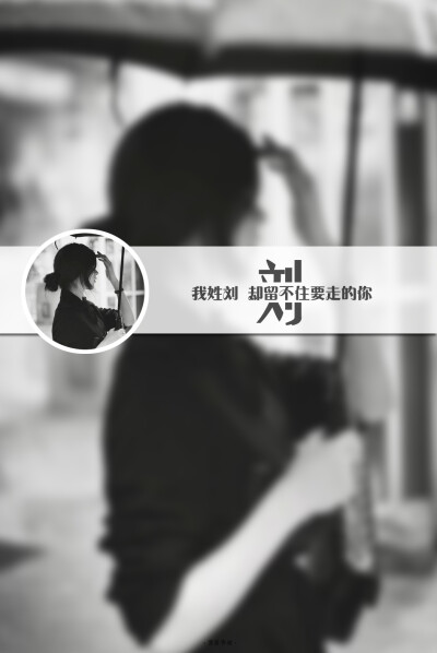 姓氏 刘
