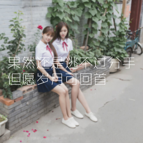 【毕业季特辑】文字 壁纸 美女 女头 头像 爱情 情绪 小清新 古风