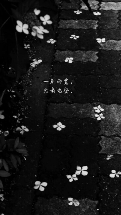 文字#壁纸#一别两宽 无我也安#精选#感伤离别 by花花苏