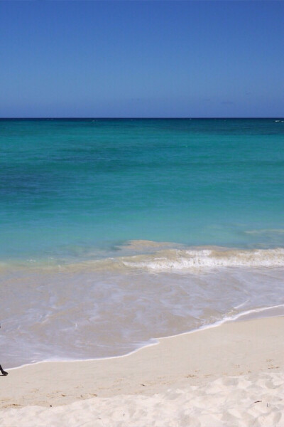 蓝天碧水 美丽海洋 沙滩 自然风景 唯美壁纸 插画