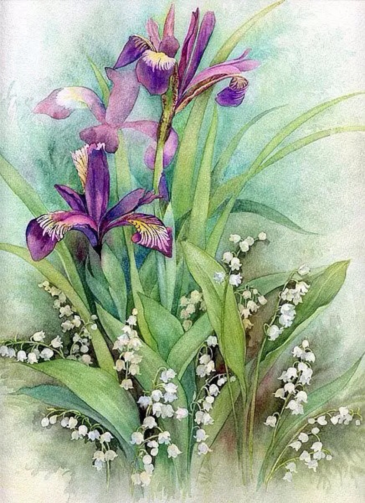 清新水彩画 手绘 花卉 植物 自然风景 清新 堆糖,美图壁纸兴趣