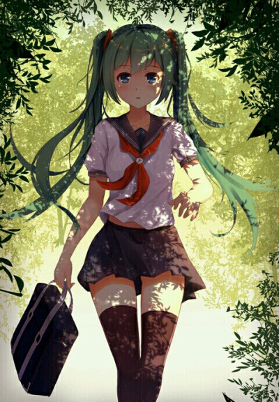 初音未来闺蜜壁纸(*ˉ)ˉ*)