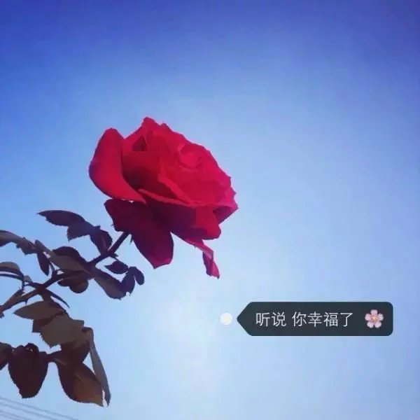 带字头像 by:借口i