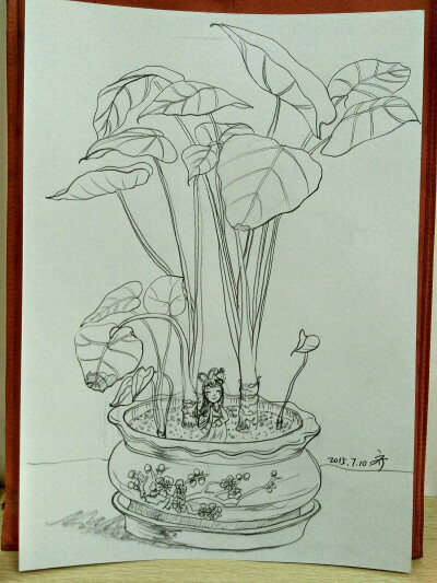 收集   点赞  评论  水彩 彩铅 创意画 植物 花卉 写生 鹿 星空
