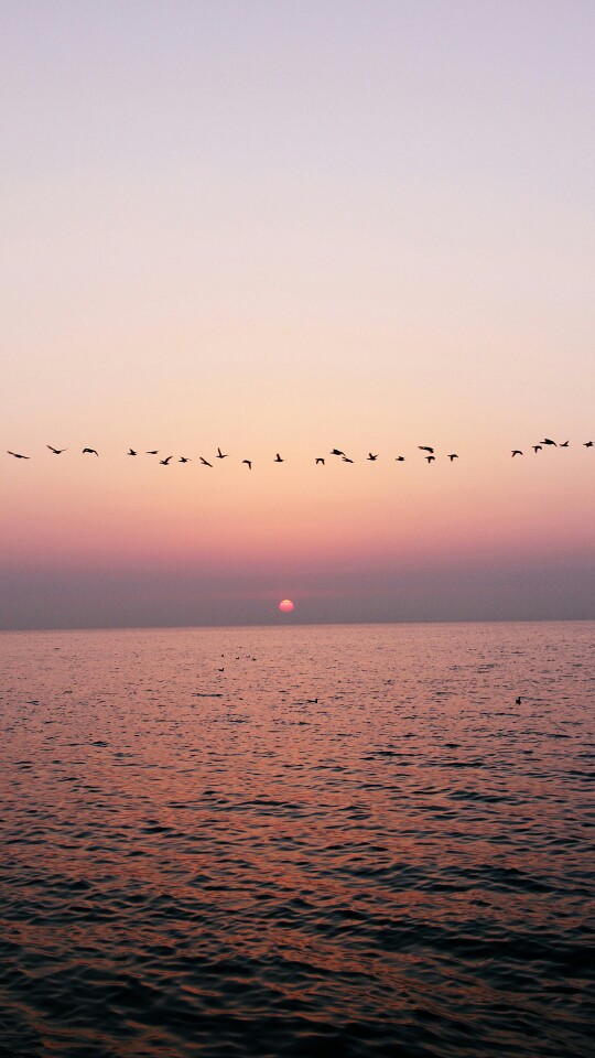 唯美风景 夕阳无限好,只是近黄昏 海面 海洋 天空 意境 唯美壁纸 手机