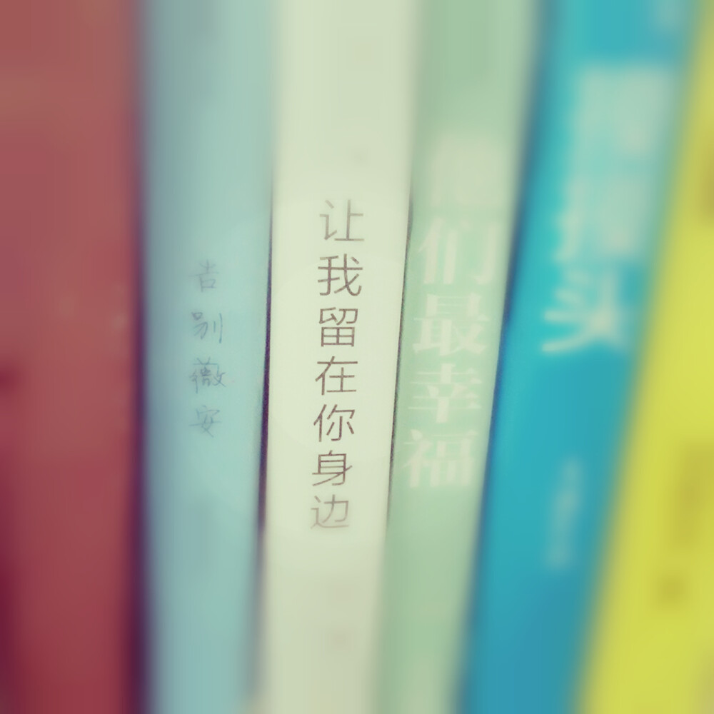 让我留在你身边 堆糖网